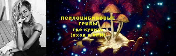 PSILOCYBIN Волосово