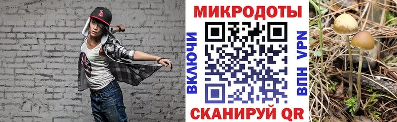 ссылка на мегу как войти  Мытищи  Псилоцибиновые грибы GOLDEN TEACHER  как найти закладки 