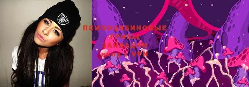 Галлюциногенные грибы Magic Shrooms  Мытищи 