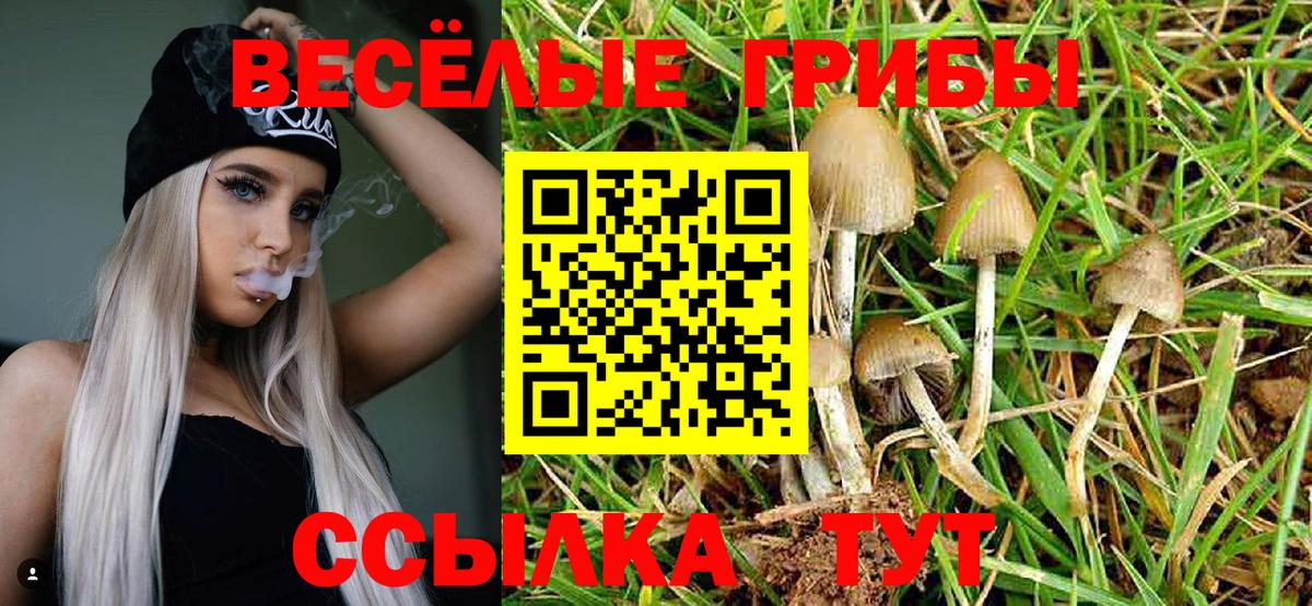 Псилоцибиновые грибы мицелий Мытищи