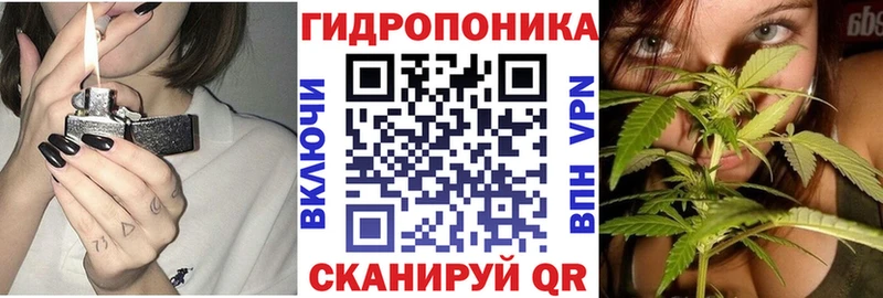 Шишки марихуана тримм  где купить   darknet клад  Мытищи  блэк спрут ONION 