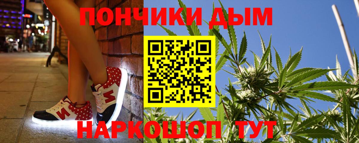 Бошки марихуана конопля Мытищи